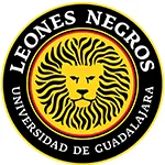 Leones Negros